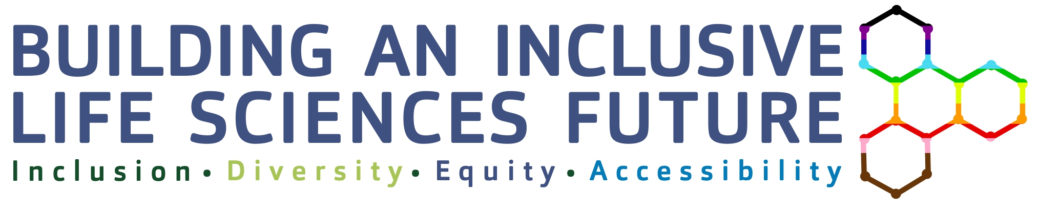 Building An Inclusive LS Future Logo Final