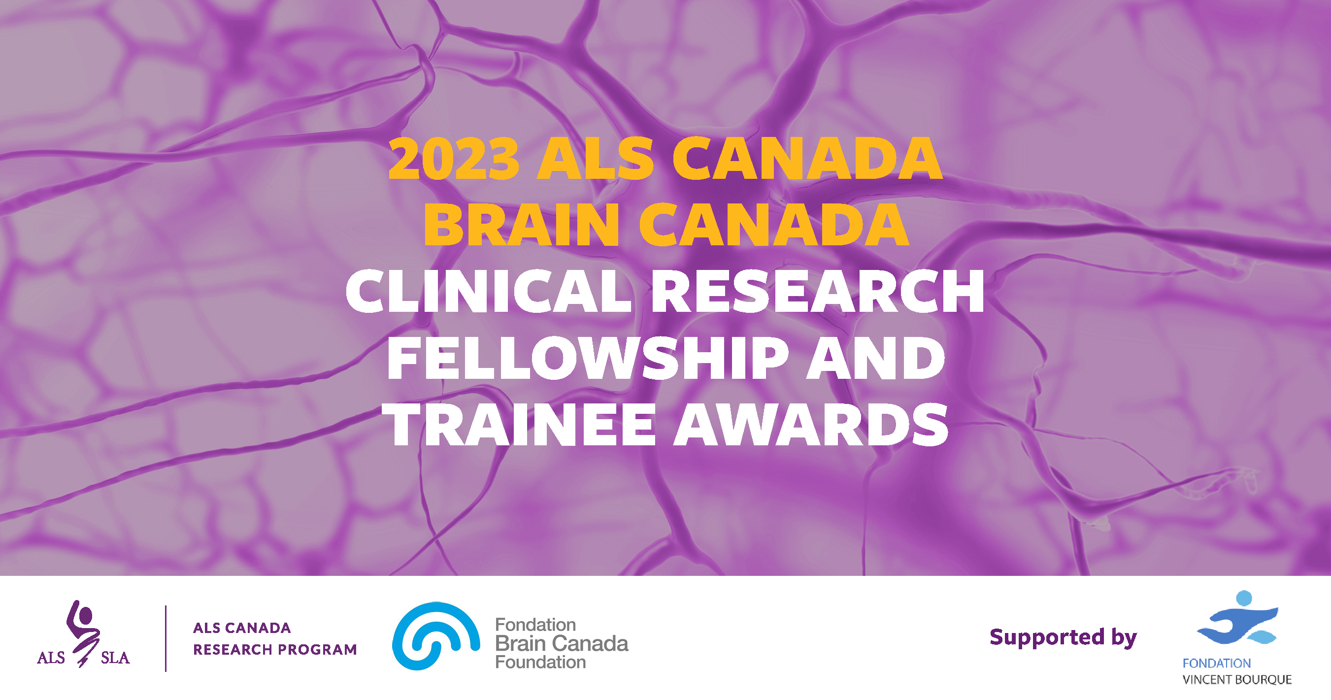2023 Brain Canada Clinical Research and Trainee Awards EN